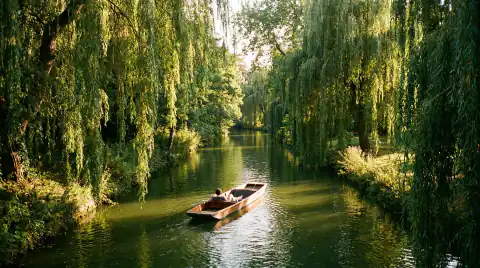 A quiet willow-shaded stretch of the River Cherwell in golden light
