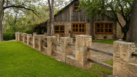 The Salt Lick · Driftwood