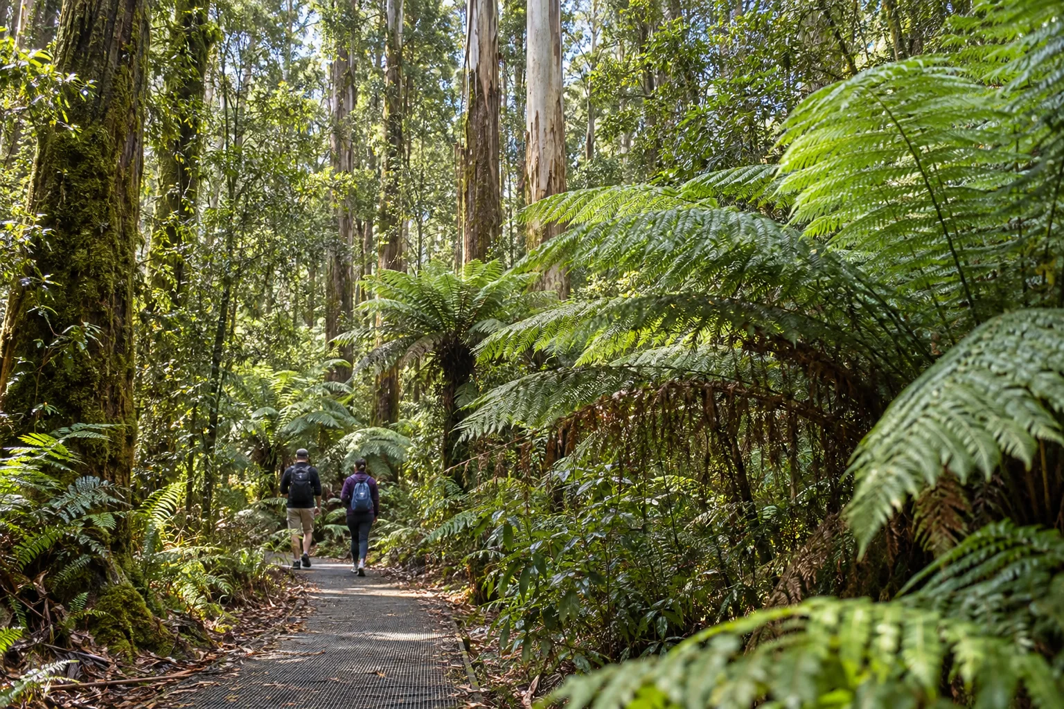 Great Ocean Road & Twelve Apostles day trip, Australian Grand Prix
