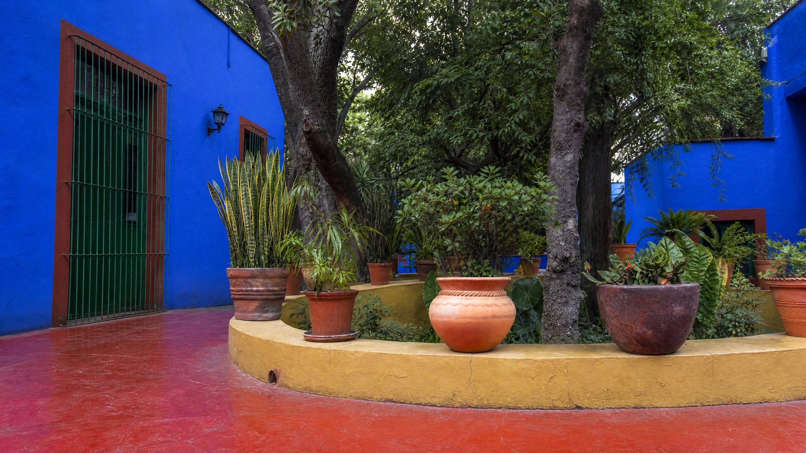 Museo Frida Kahlo · Casa Azul, Mexico City Grand Prix