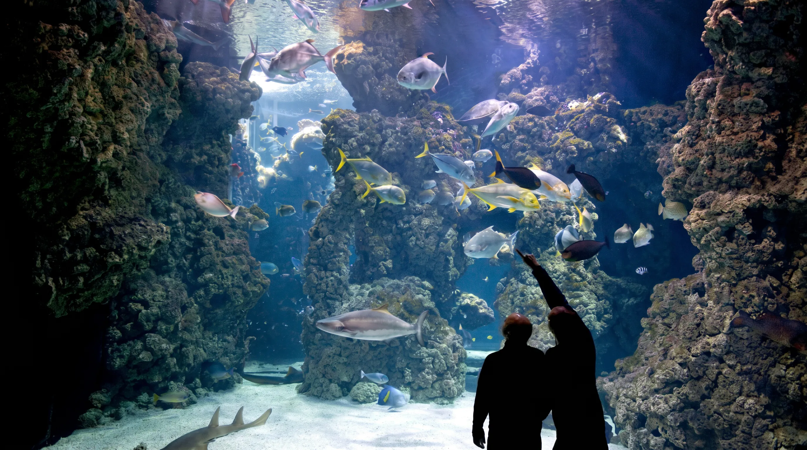 Oceanographic Museum of Monaco, Monaco