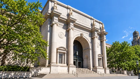American Museum of Natural History