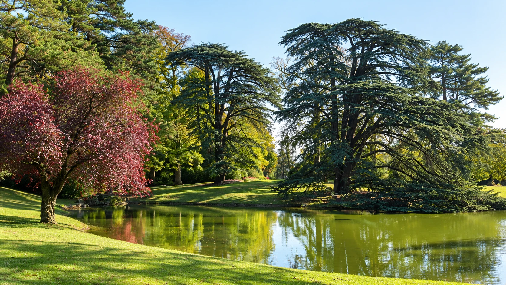 Trocadéro garden pond