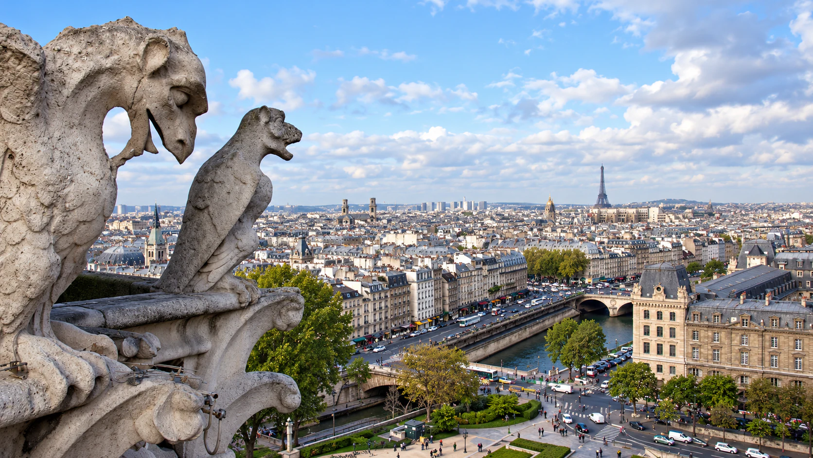 The tower chimeras above Paris