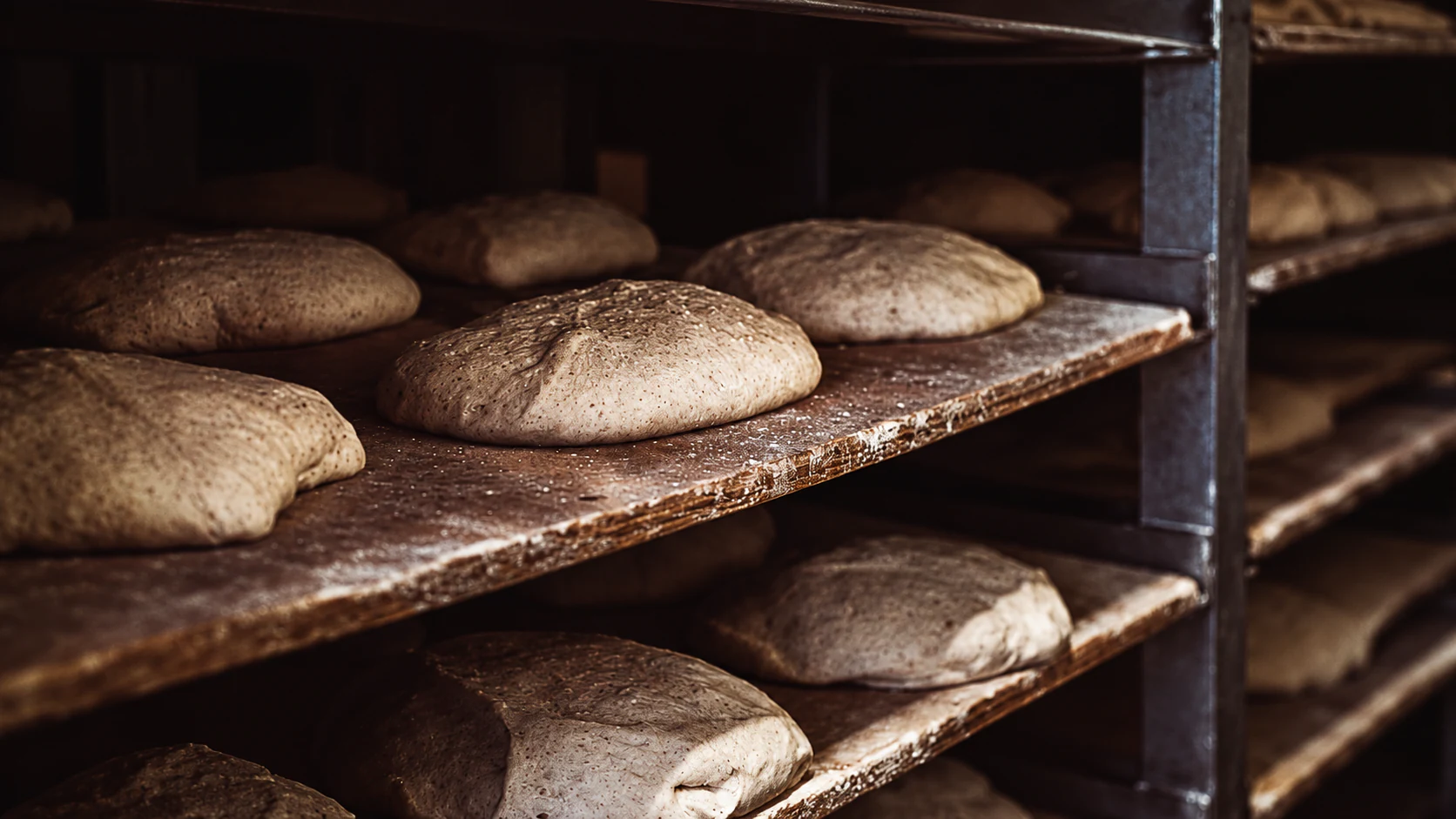 Shaped bread dough resting on floured wooden boards in the bakery’s preparation racks.