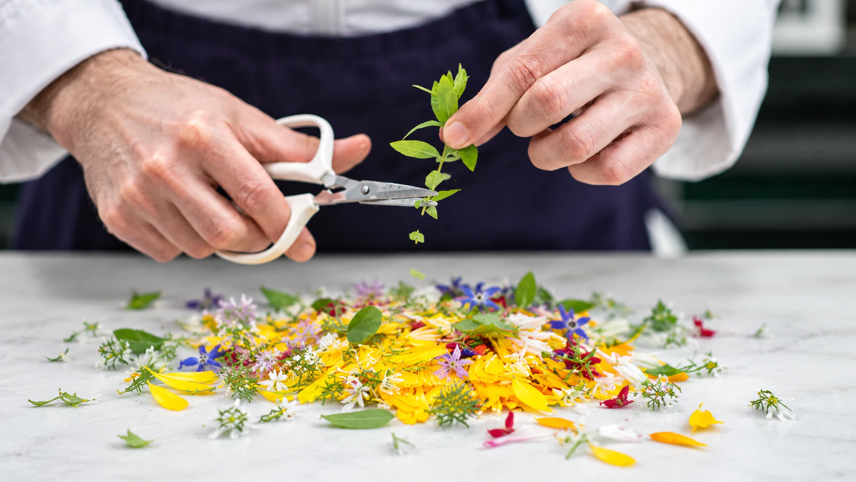Fresh herbs and edible petals prepared in the Astrance kitchen